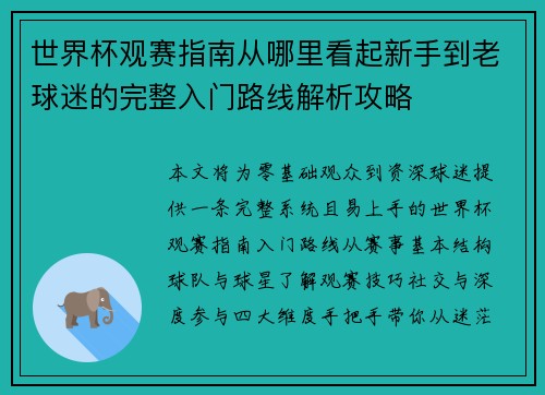 世界杯观赛指南从哪里看起新手到老球迷的完整入门路线解析攻略